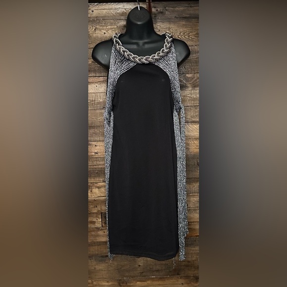 Unique Silver Fringed Dress NWT - Picture 8 of 13
